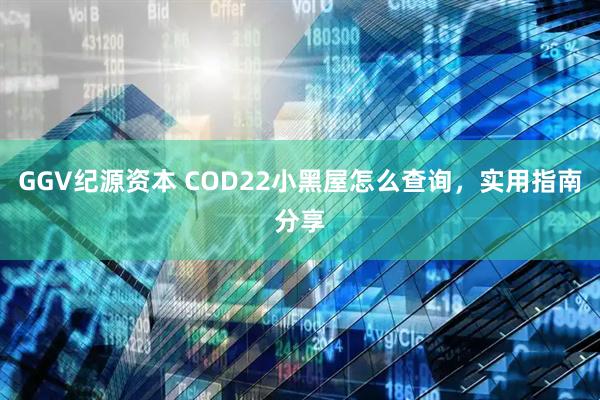 GGV纪源资本 COD22小黑屋怎么查询，实用指南分享