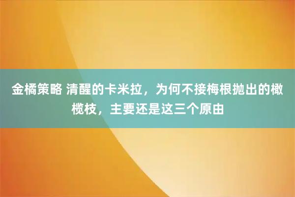 金橘策略 清醒的卡米拉，为何不接梅根抛出的橄榄枝，主要还是这三个原由