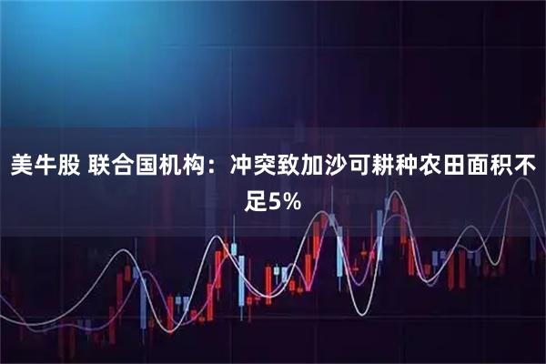 美牛股 联合国机构：冲突致加沙可耕种农田面积不足5%