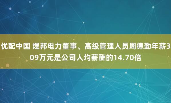 优配中国 煜邦电力董事、高级管理人员周德勤年薪309万元是公司人均薪酬的14.70倍
